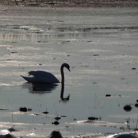 Apartmán Reetdachhaus Am Bodden Middelhagen