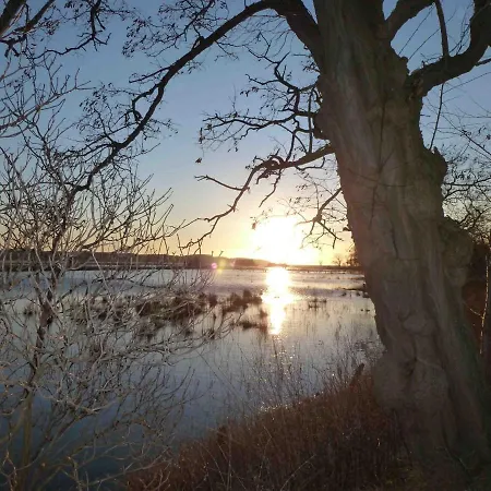 Apartmán Reetdachhaus Am Bodden