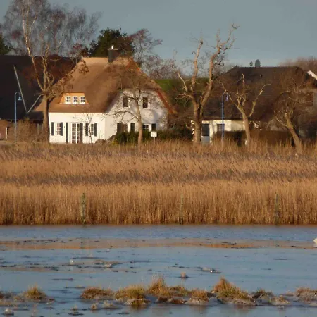 Reetdachhaus Am Bodden Middelhagen
