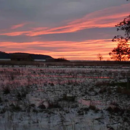 Reetdachhaus Am Bodden *