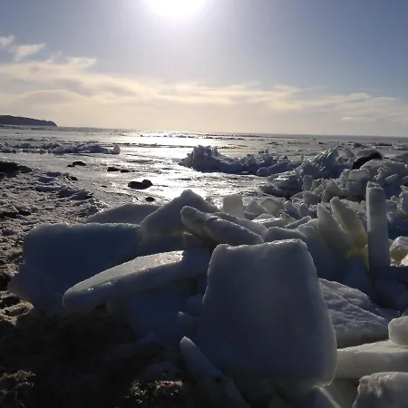 Apartmán Reetdachhaus Am Bodden